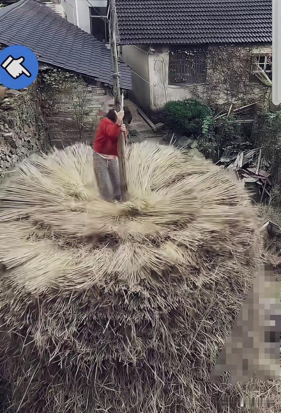 这是过去农村秋收打粮运粮交粮的的画面，如果不看到这些照片的话，最起码也得有40多