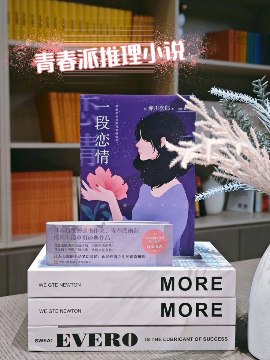 青春派推理小说，大龄女白领智斗凶犯～