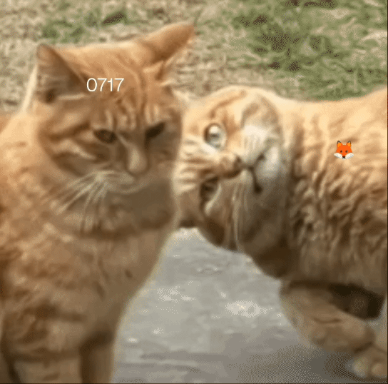 分享图片 