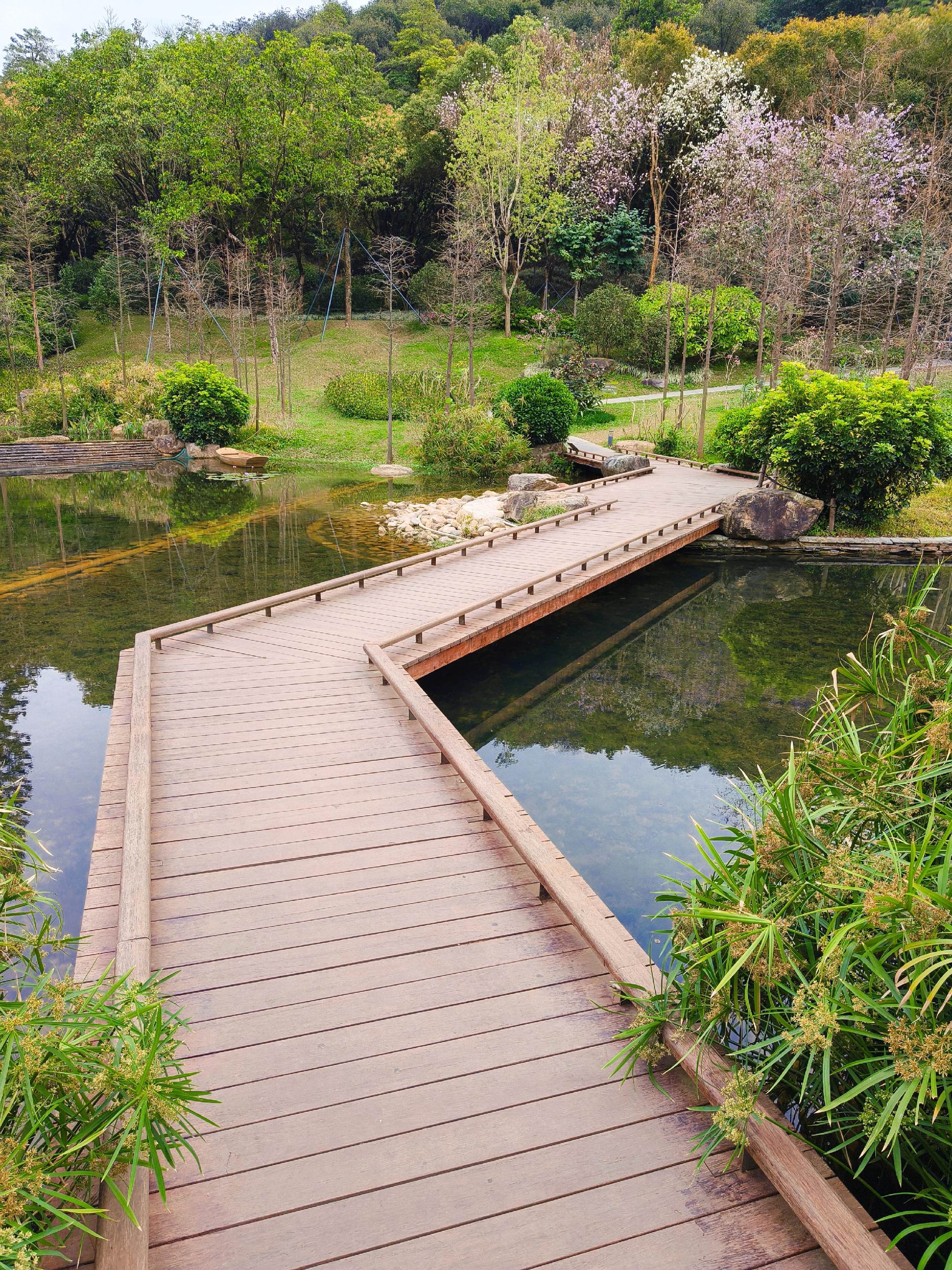 谁懂，广州居然有这么好拍的公园！周末不知道去哪儿，就去了趟云溪植物园...