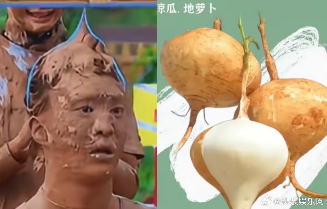 刘雨昕说范丞丞像地萝卜刘雨昕说范丞丞很可爱奔跑吧刘雨昕看范丞丞泥潭大战那段，直接