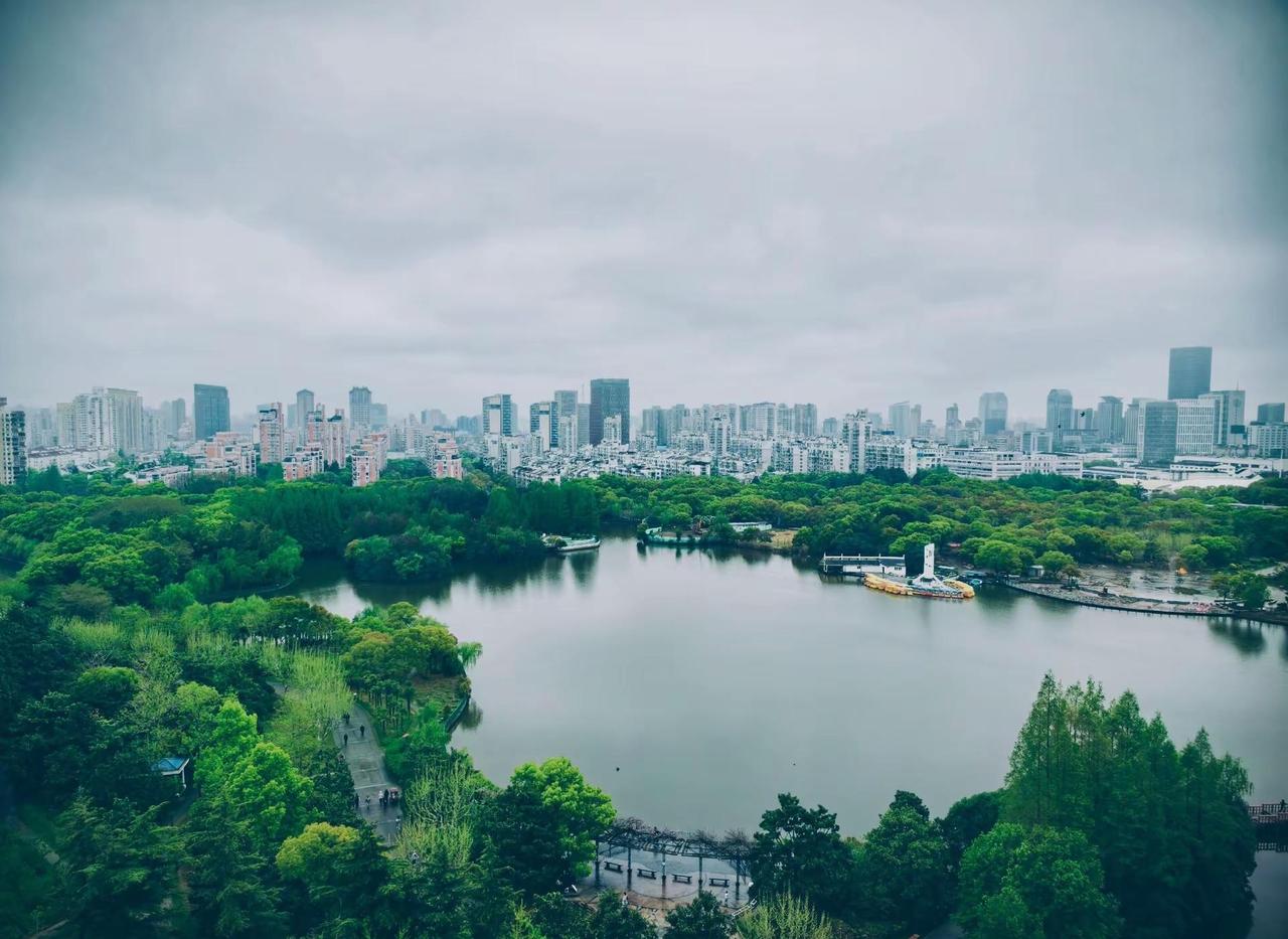 上海的阴雨天🌧️就这样下个不停