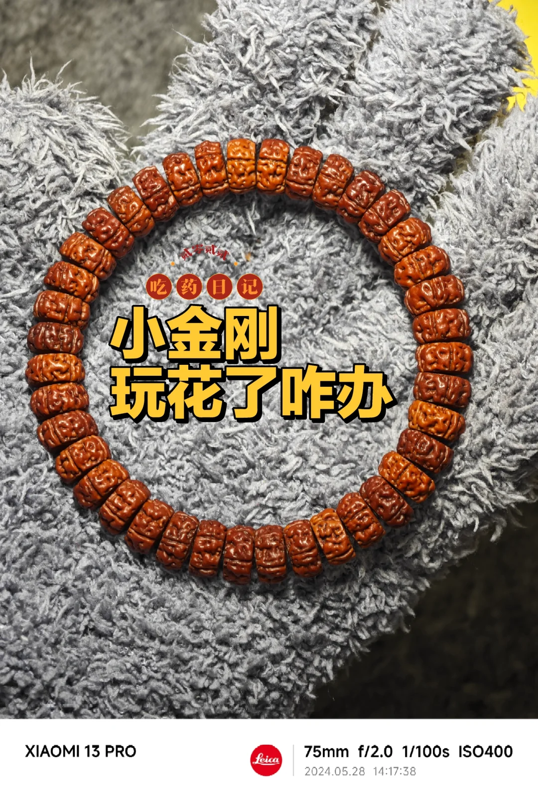 NO.518 小金刚玩花了，泡热水追色差