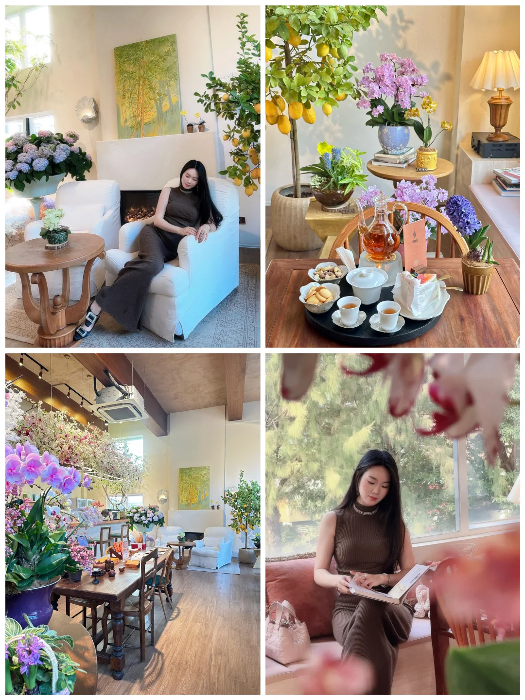 皖实·茶馆|🌼误入法式阳光花房