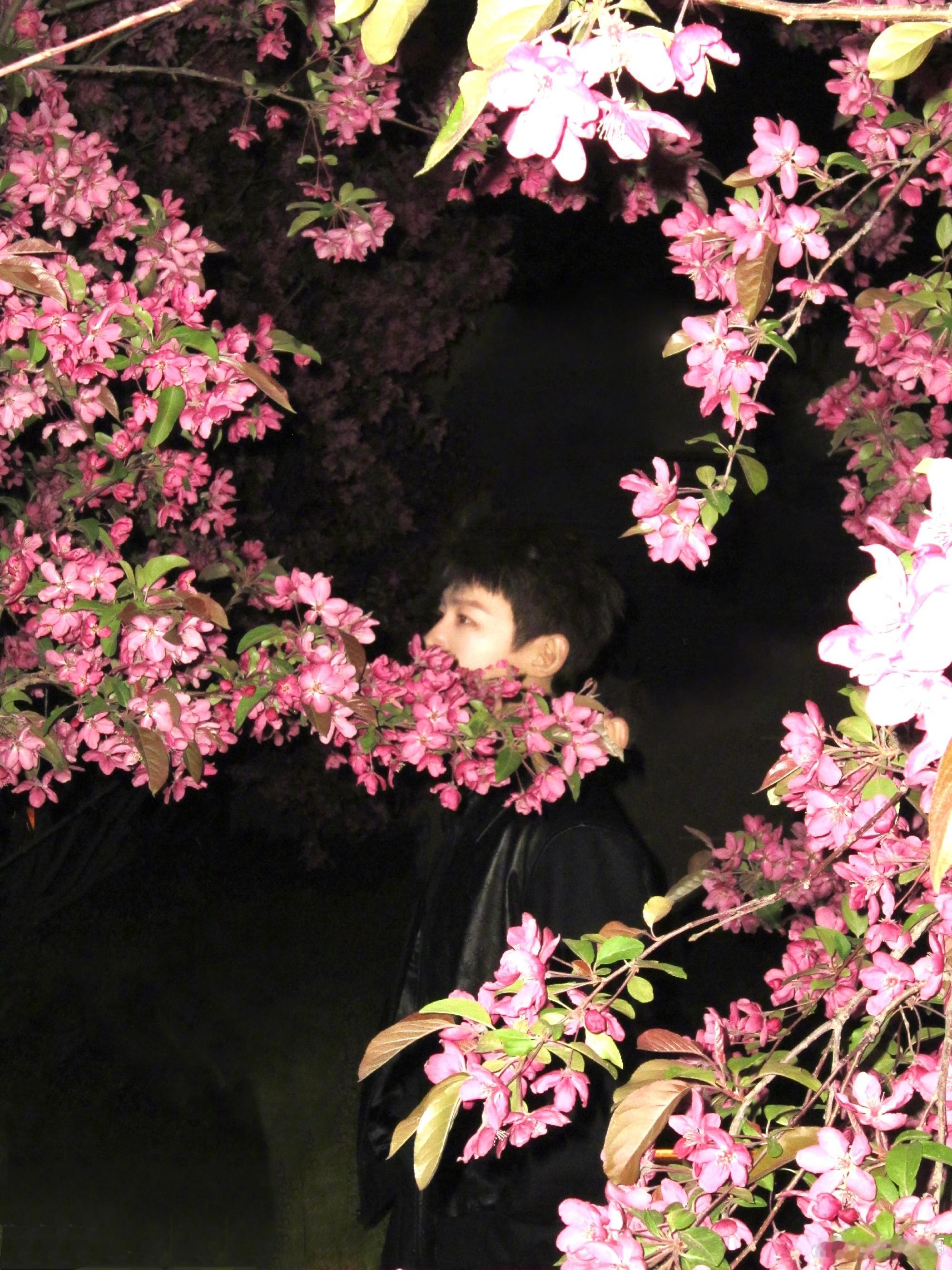 白敬亭   🕊️白敬亭0804出道十二周年快乐 bjt白敬亭王长海我的爱人离我