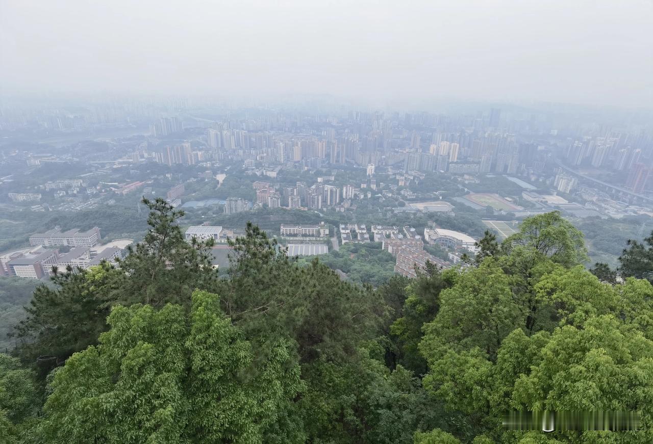 有没朋友看得出来这是哪里？图片中是什么地方？在什么地方拍的？