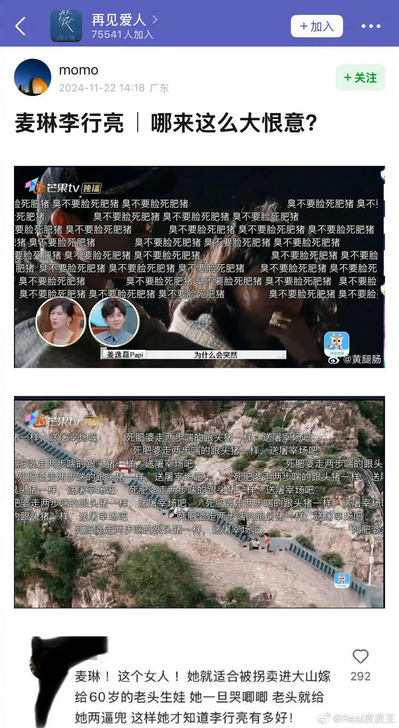 麦林个人账号下评论区，以及《再见爱人》弹幕上，都是唾骂麦琳的。对此，麦林开始删除