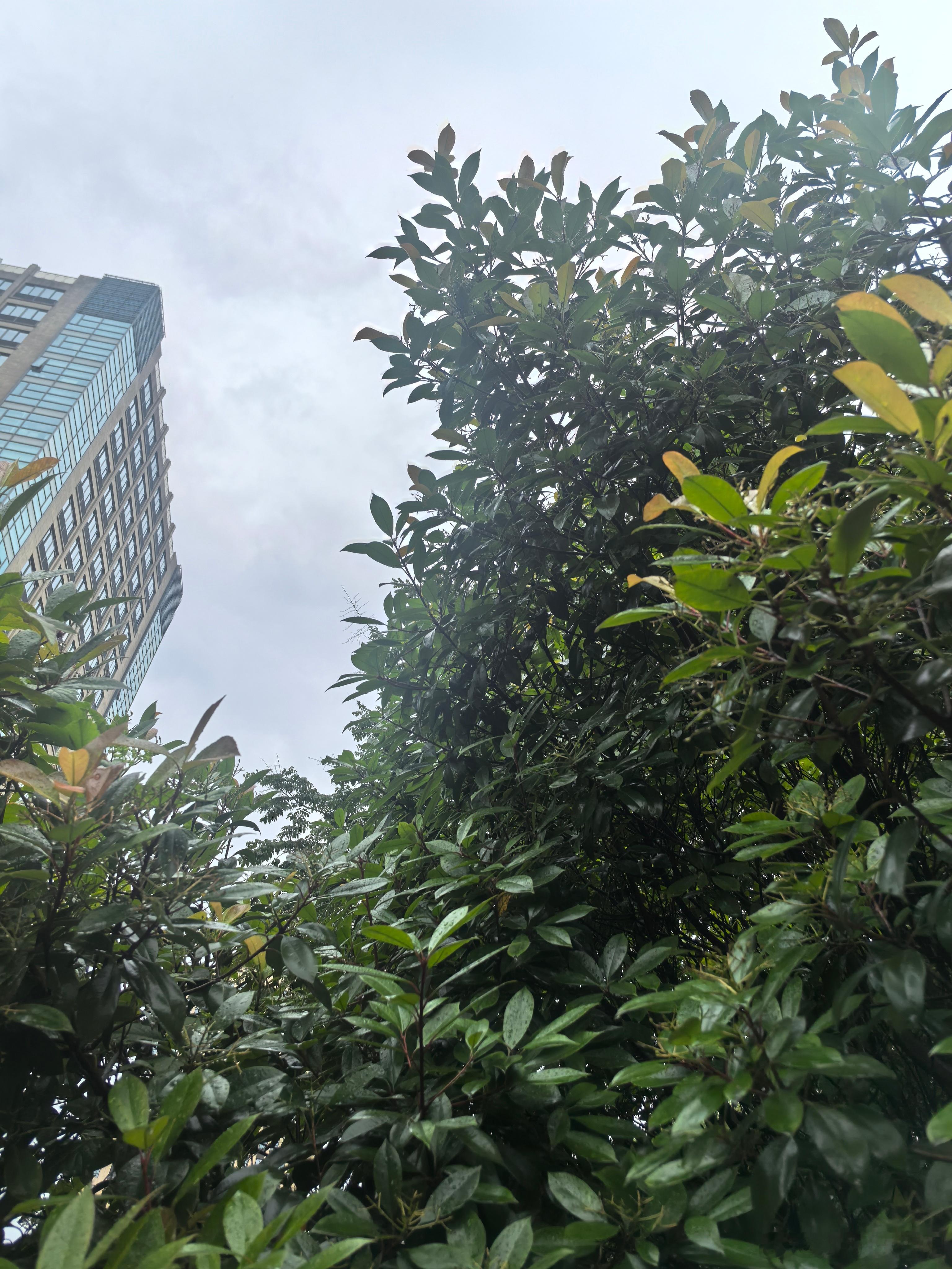 一个人自律和不自律，都会让自己吃苦受累，但结果却完全不一样。 上海