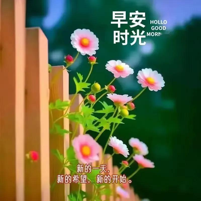 伸张、宣传正义、正气，提高、磨炼自己、自我。