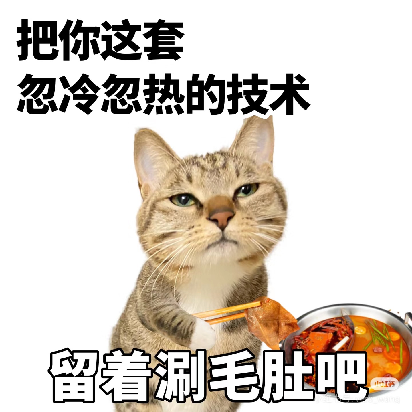刷红薯：啊啊啊老婆好可爱…好多没看过的…好多粮啊好好吃…考古考古还得多多考古…好