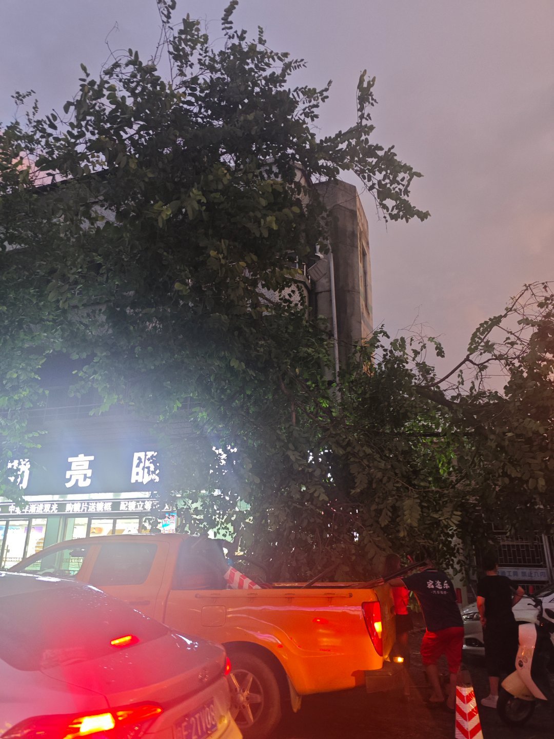 台风红霞台风都还没登陆，已经感受到它的威力了！ 