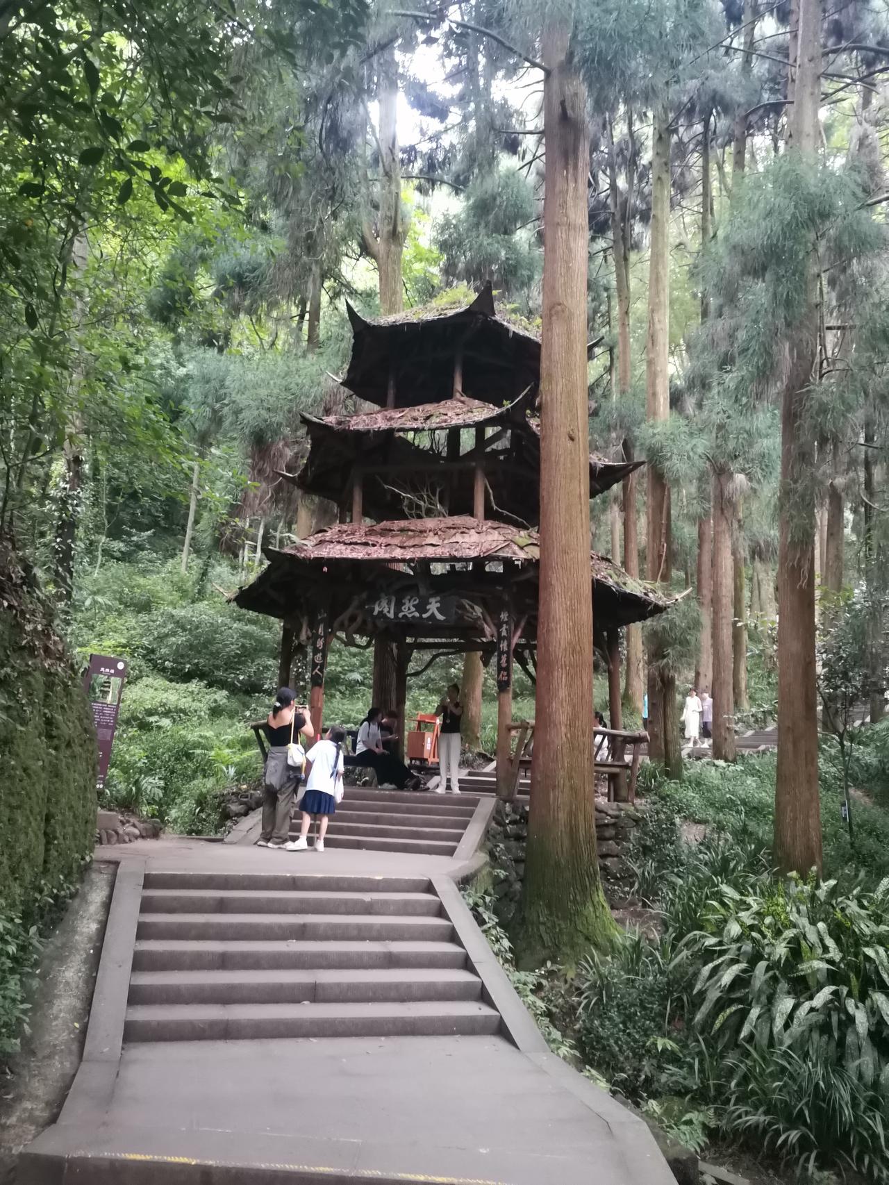 一定程度上来讲房地产把乡村教育搞砸了。各地为了帮开发商卖房子，教师进城要考试了，