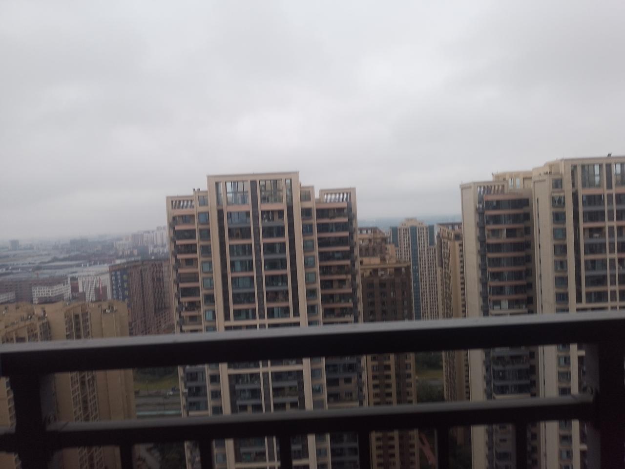 感觉成都已过渡到了入冬的节奏，尤其感到天气格外的寒冷了，
昨日霜降下了一整天的雨
