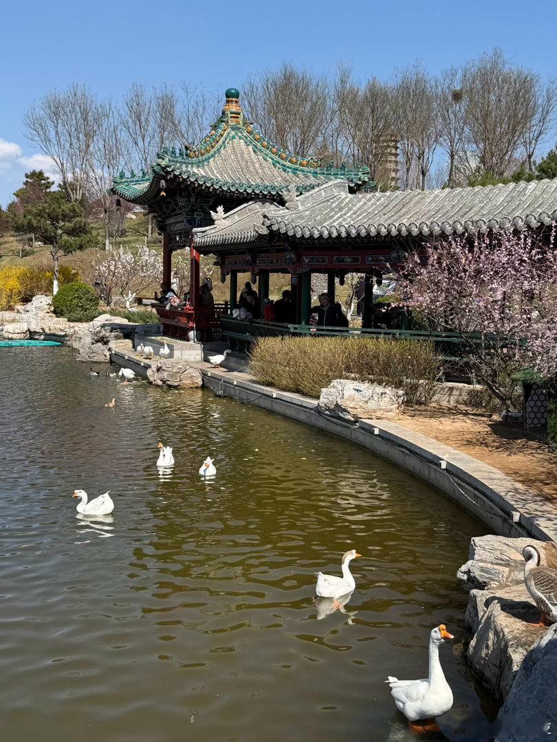 春水 