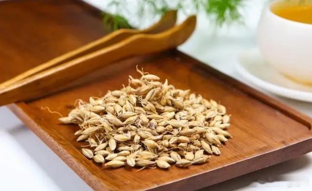 研读｜张锡纯论麦芽：生则升肝疏肝，炒则降脾消积，升而不燥，散而不耗学习研讨资料，