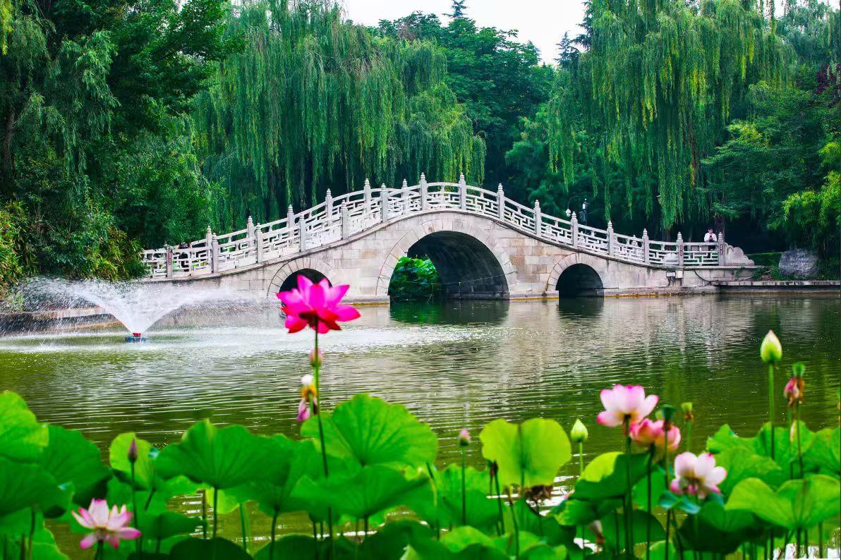 去外省读书，不只是换一座城市上学，更是孩子独立成长的历练。远离家人的庇护，他需要