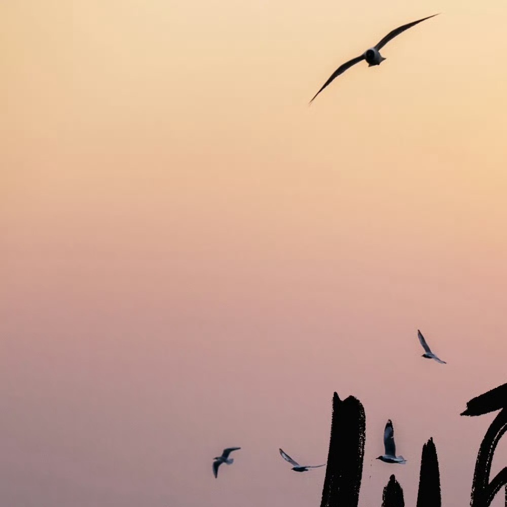 2130 生活偶尔有风雨，人生难免有起伏，但只要不放弃，就没有什么能阻挡你前行。