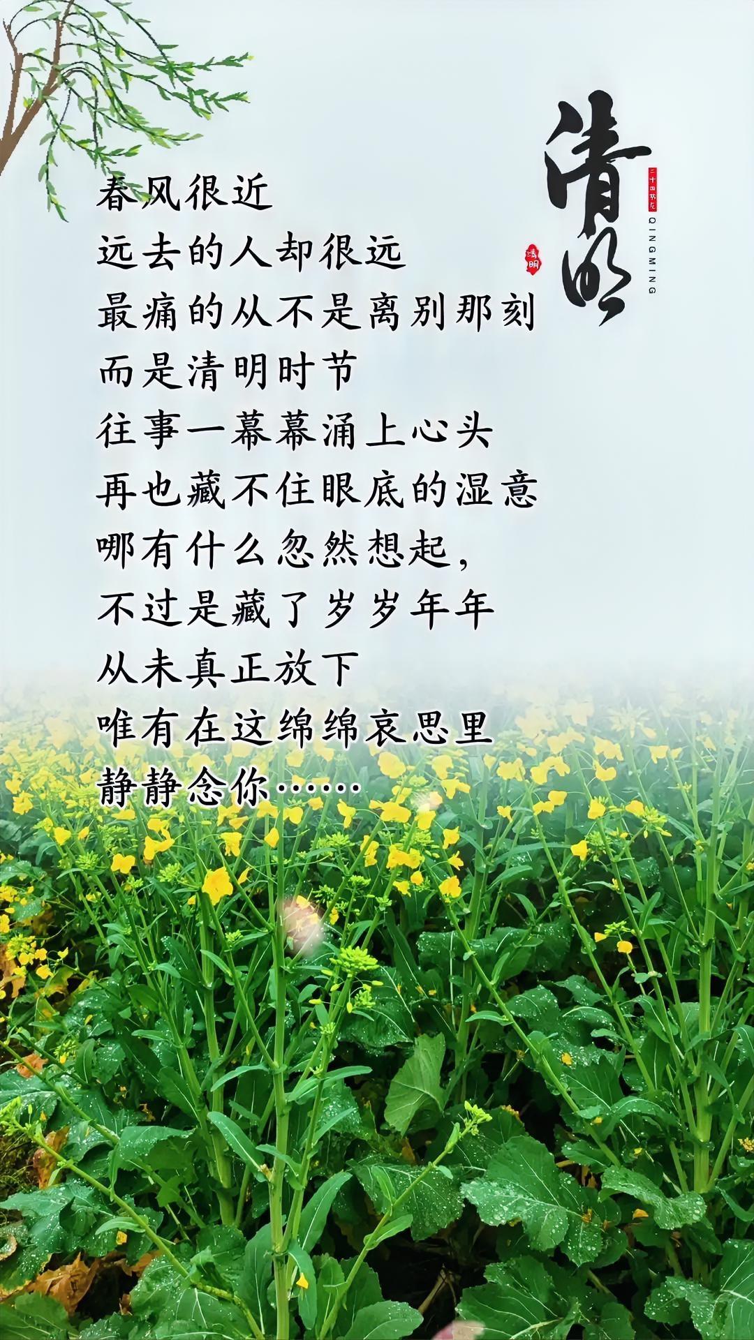 清明已至，怀而不在，恋而不得，一别再无归期，深深想念天堂的亲人！

兄弟们谁也不