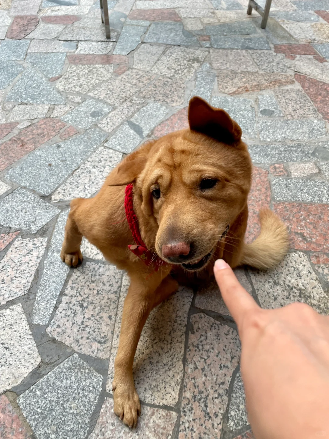 此处禁止挠痒