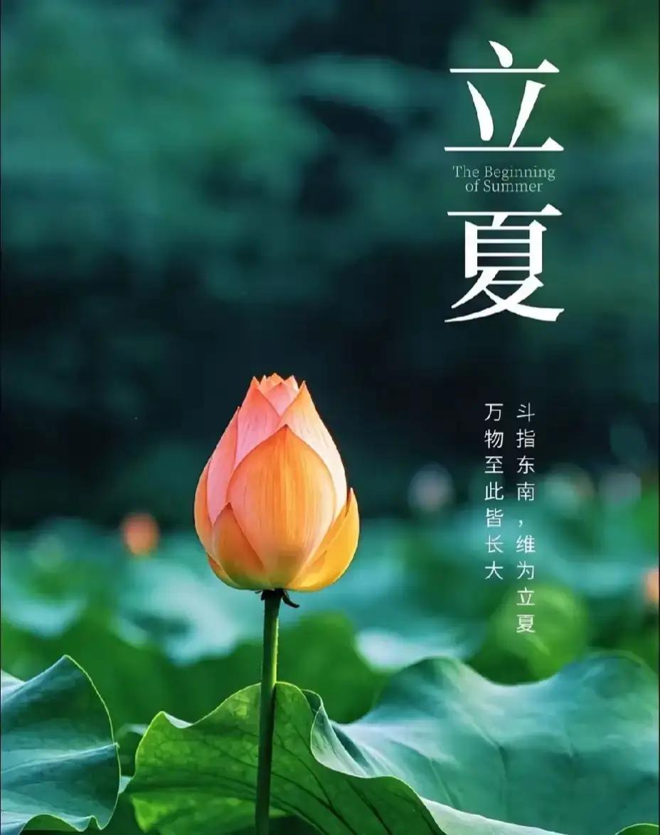 立夏养生局：别让“心火”烧干了你的精气神！

诸位朋友，今儿是立夏，咱们单说一桩