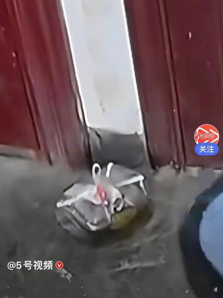天津一外卖小哥送餐到住户门口，打电话提醒女孩取餐。没想到电话那头的小姑娘情绪特别