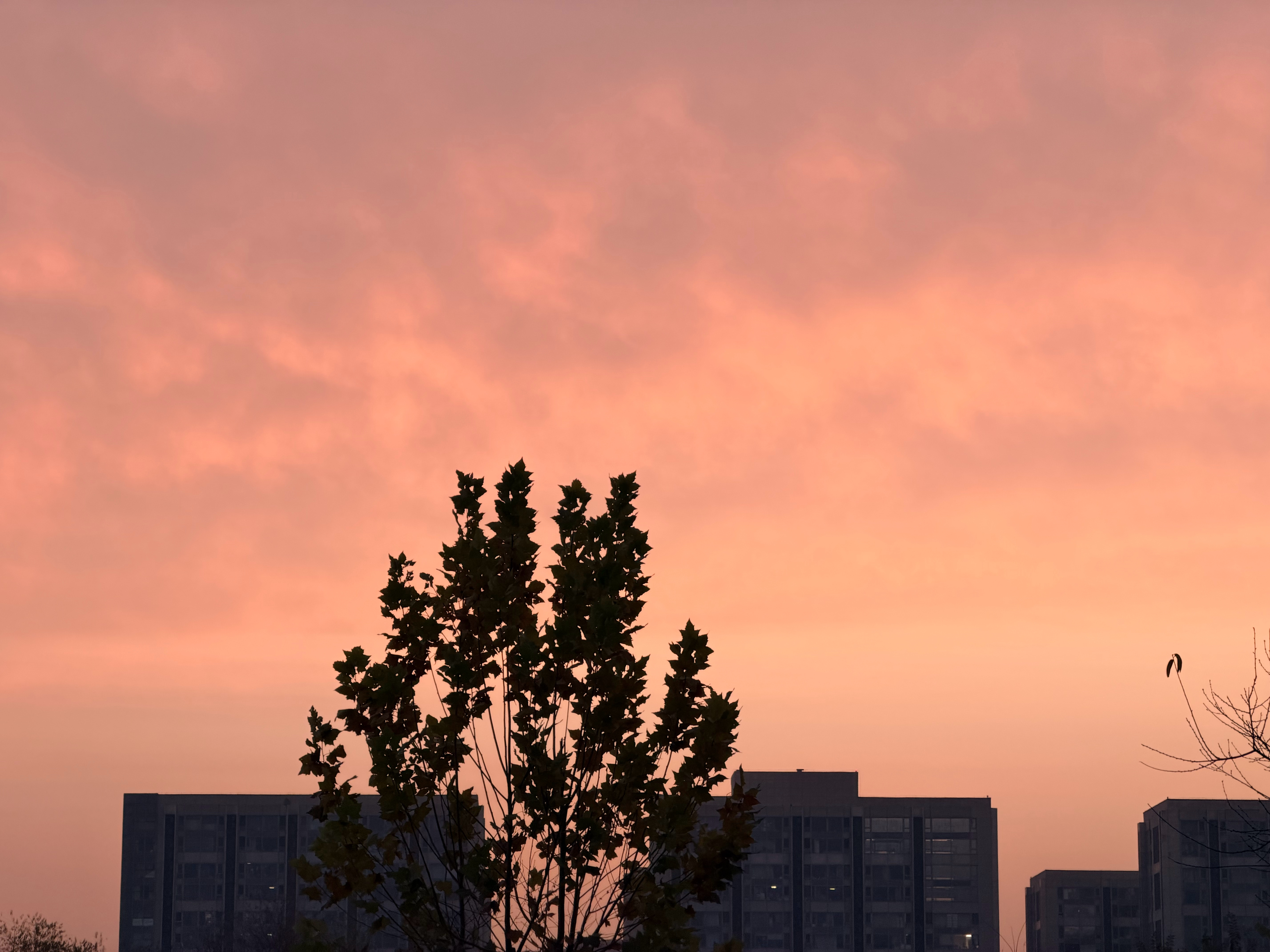 各位早啊早班机 很懵逼