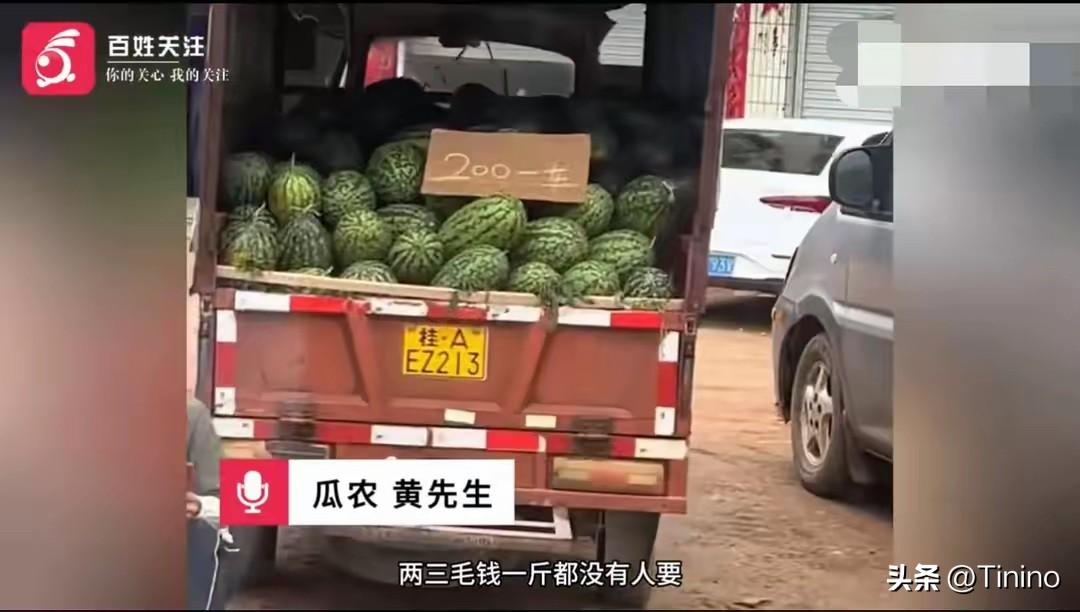 **广西扶绥西瓜滞销，瓜农无奈弃瓜，低价伤农引关注**  

5月29日，有网友