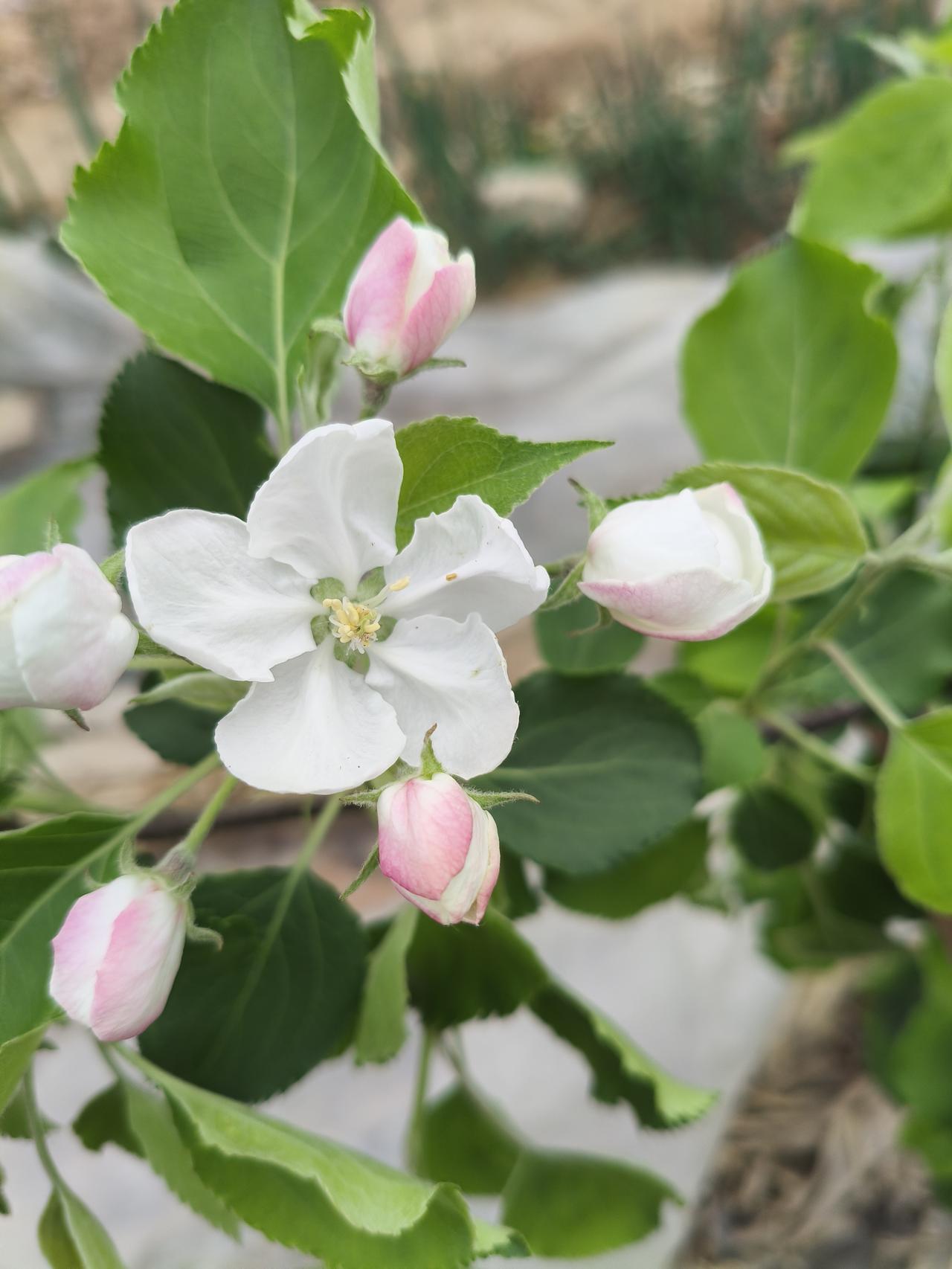 人心都是相互的，就像是物理学中的作用力与反作用力。你给予别人几分温暖，就会收到几