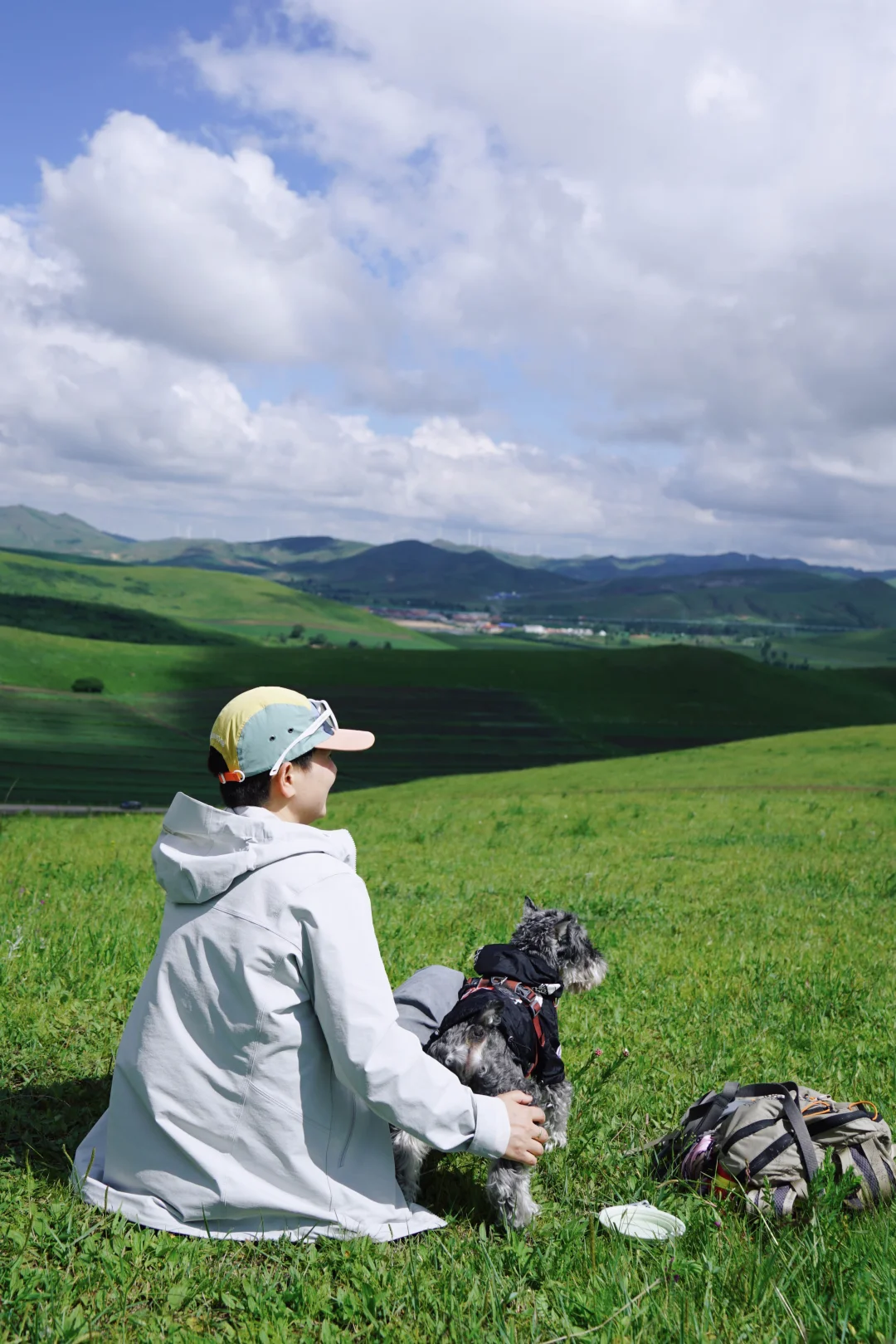坝上📍北京3h🚗带小狗去最近的草原过周末