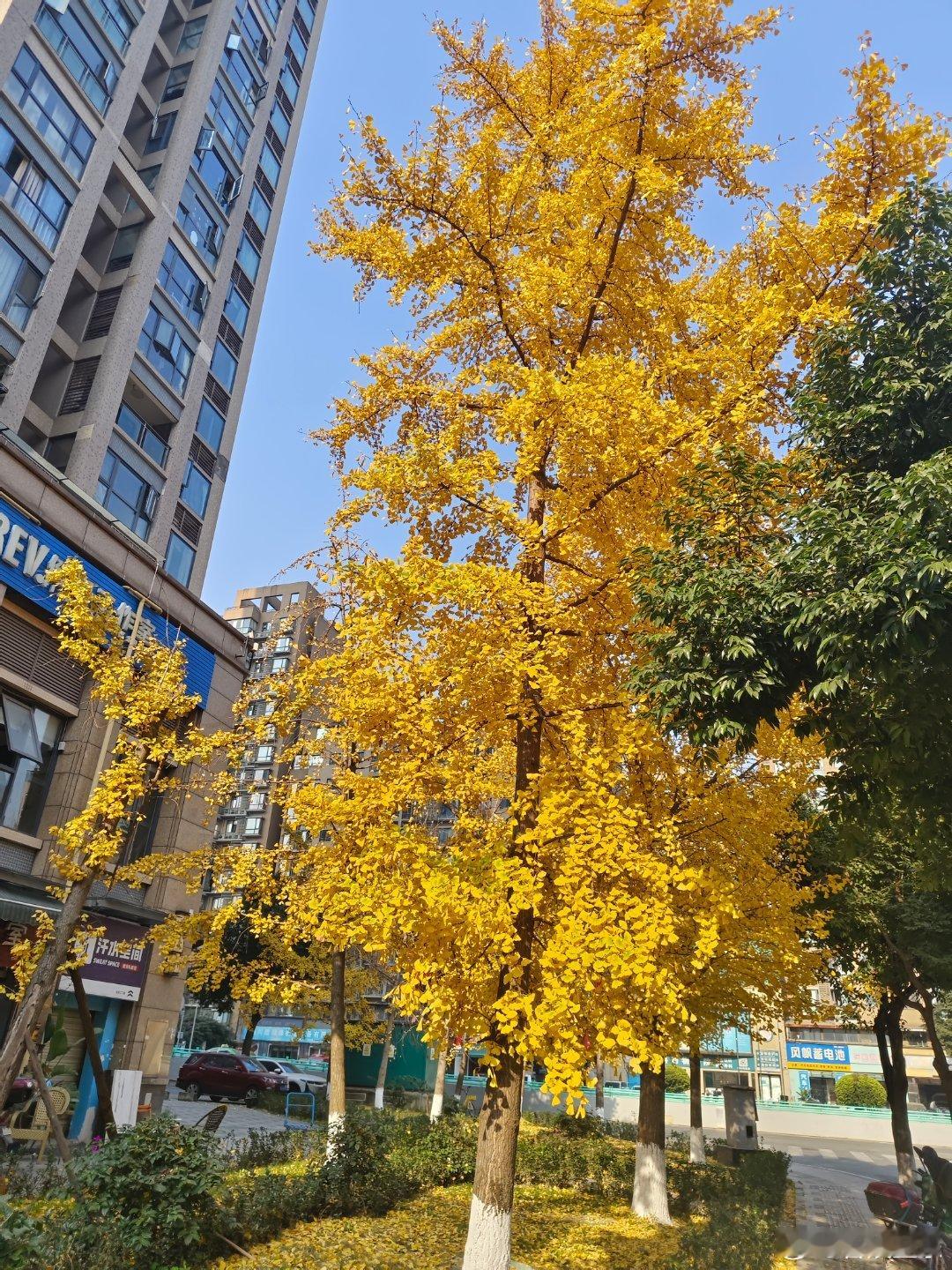 《废话》出门，以太阳的名义，运动消食为目的。本想洒脱出门，却总有些欲望和设想，提