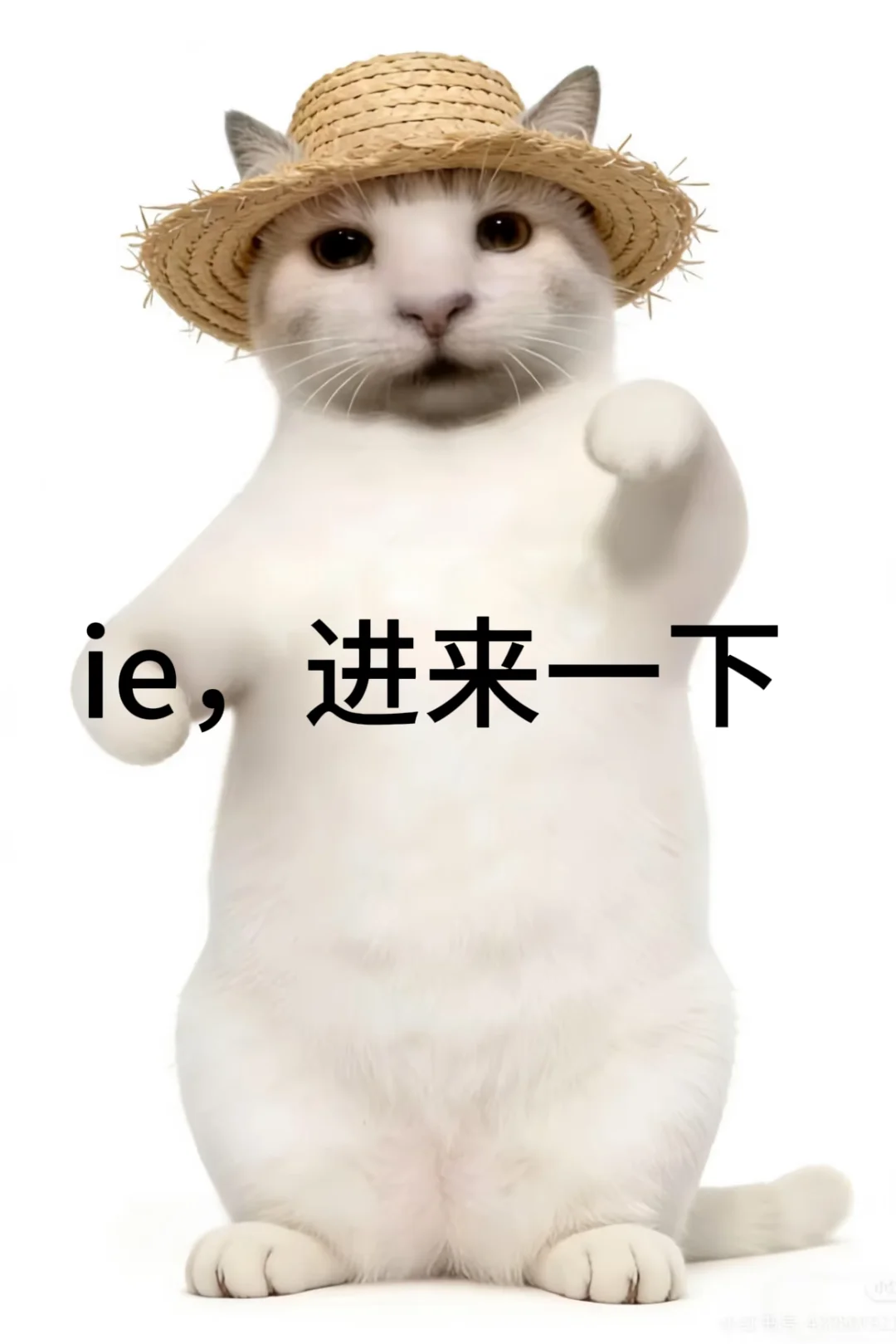 成毅