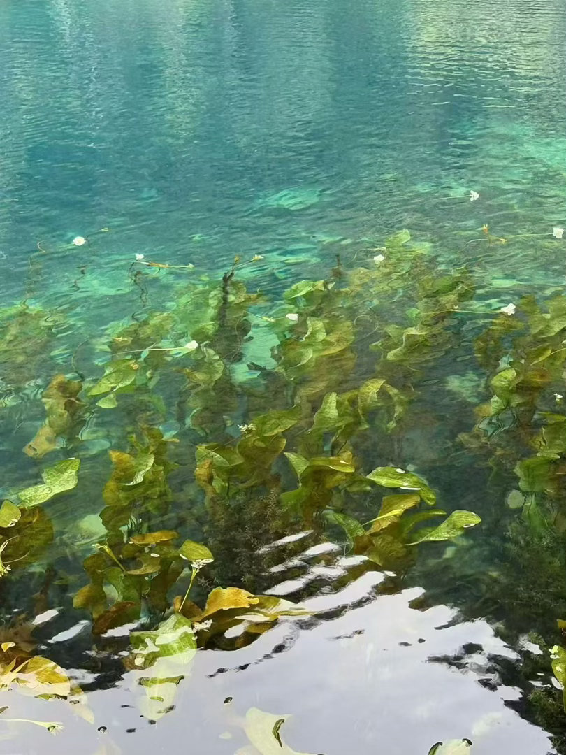 荔波小七孔人间绿宝石 