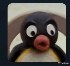 你们知道曹阿瞒跟这个企鹅多像吗 ​​​