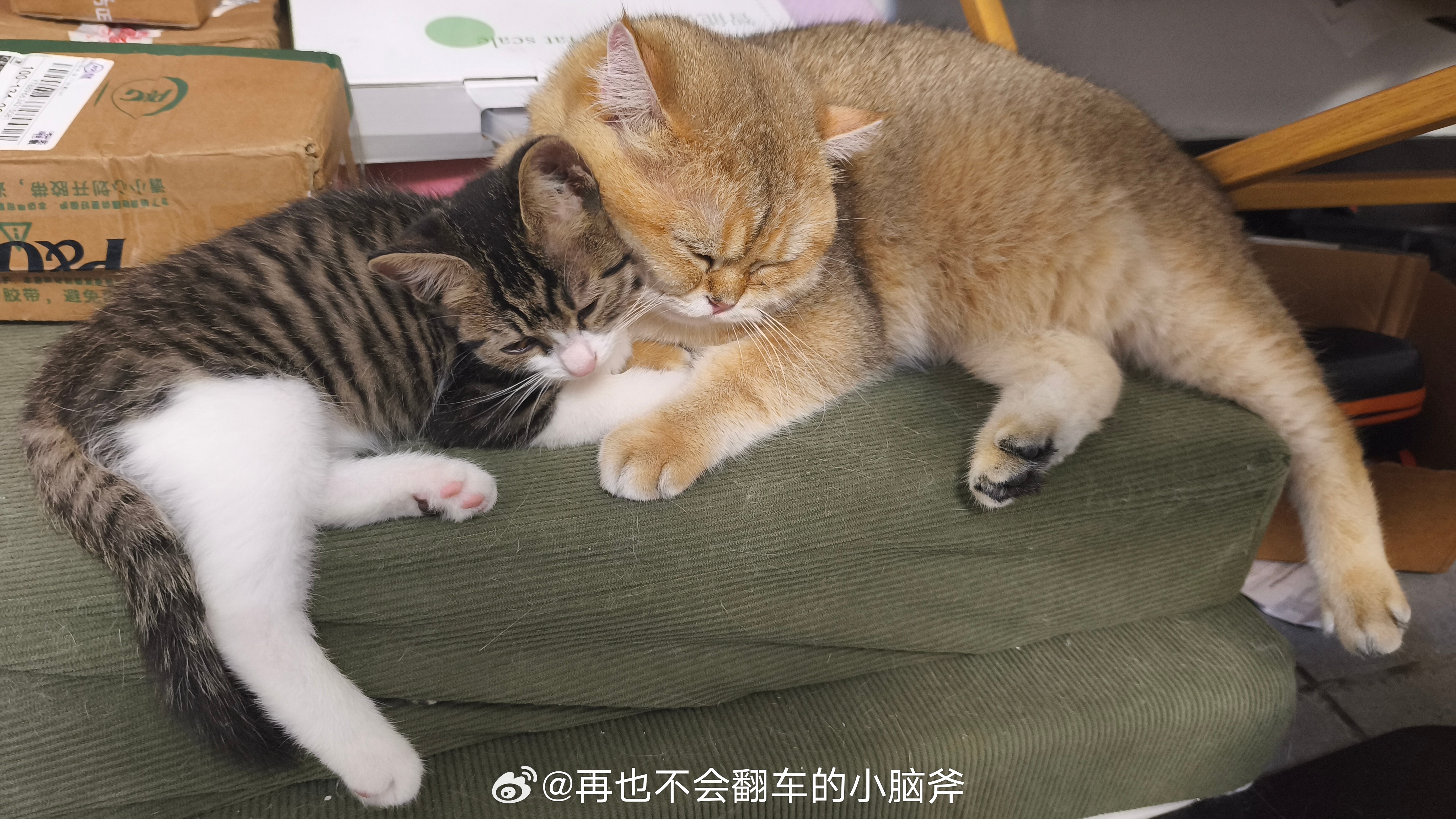 我就这样5天被迫喝5顿昨天真是给我喝清醒了最近开发了喝白酒和喝黄酒的新大陆老了老