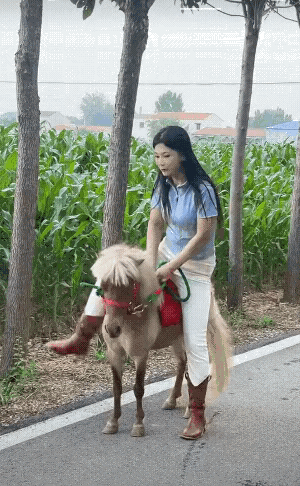 马：就没有人为我发声吗？