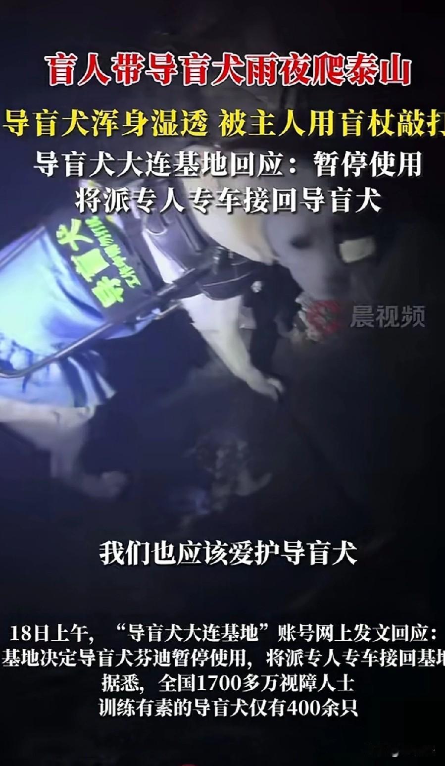 “盲人用导盲犬夜爬泰山可不可取？”这是最好的回答！一位高位截瘫的患者说，自己坐轮