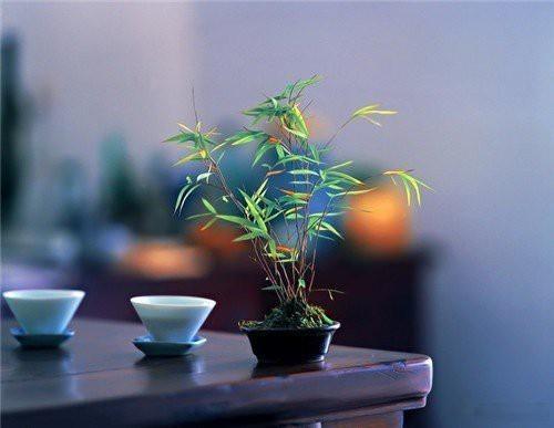 人生似水岂无涯，浮云吹作雪，世味煮成茶。 ​​​