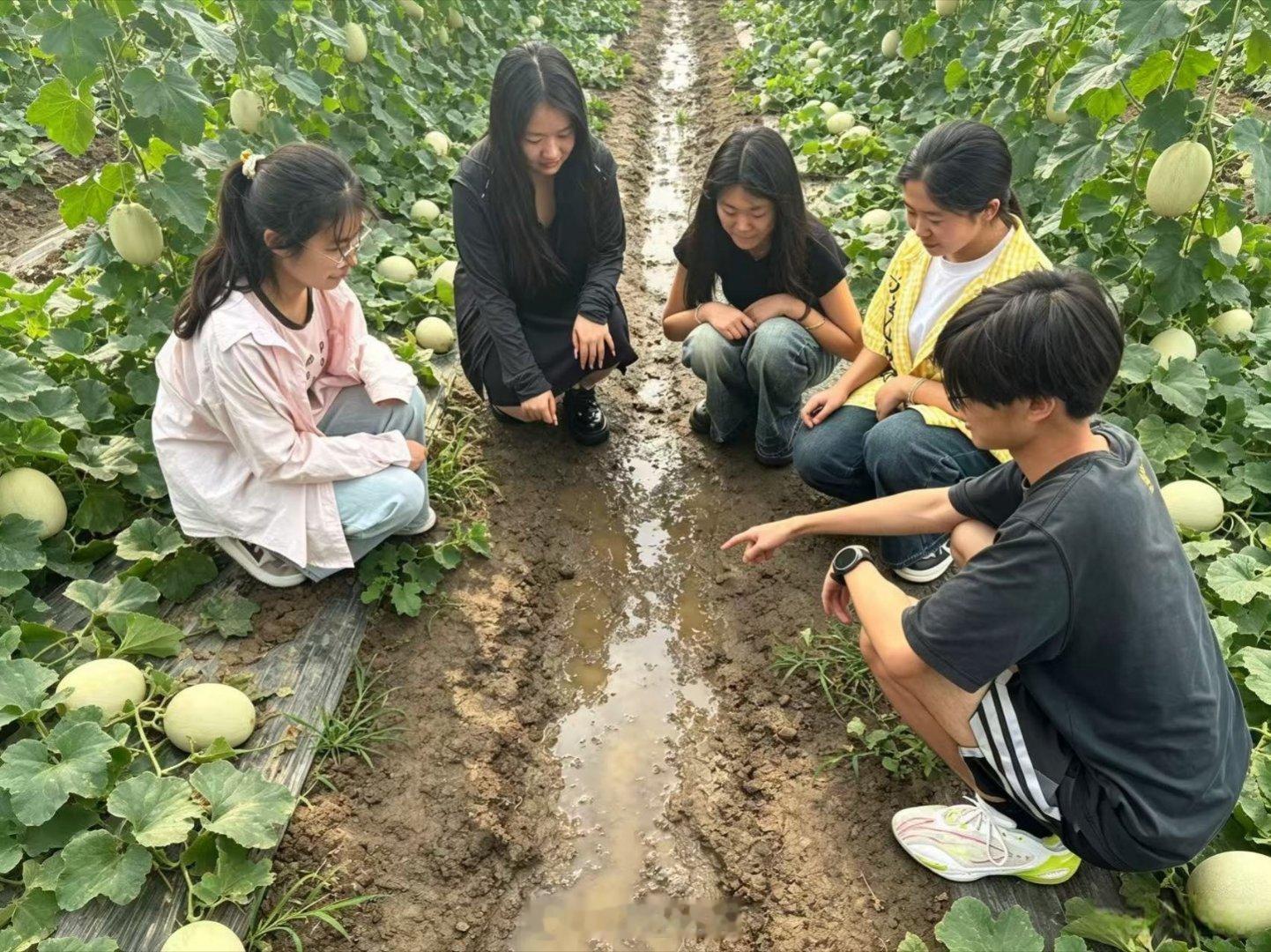 【云端架起瓜香桥，青春实干兴瓜乡】青春三下乡社会实践曲阜师范大学        