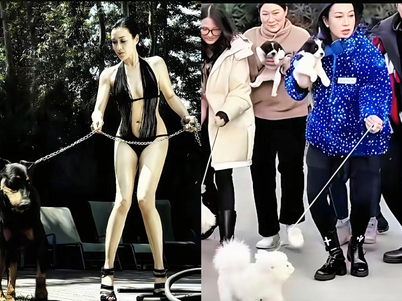 从X到O，二十年时光见证艺术造型的变迁。
     同样是遛狗，二十年前，她明星