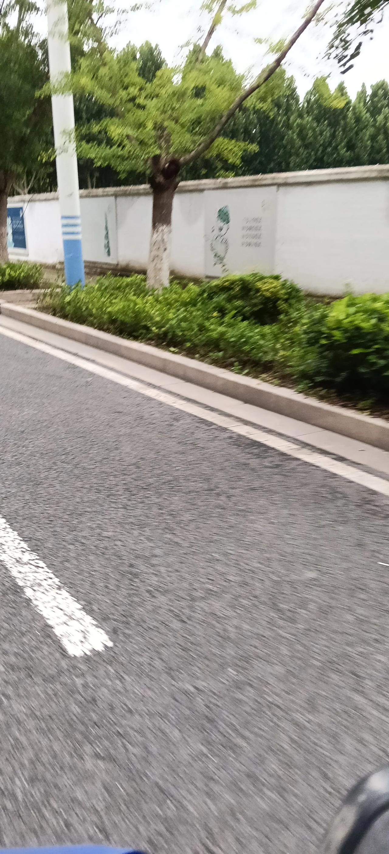 陏手拍
