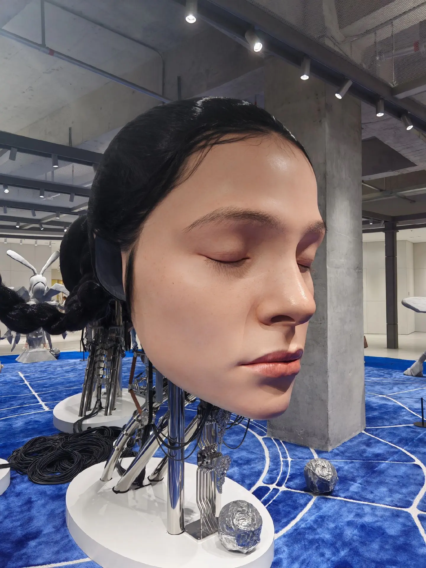 打卡深圳“巨人展”，排队一小时拍照5分钟