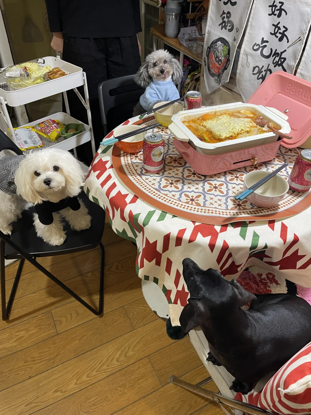 来都来了，坐下吃点？