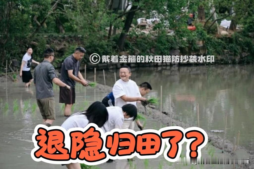 久未公开露面的马总，笑得真开心，插秧的动作貌似很娴熟。身穿白色T恤和浅色短裤，手