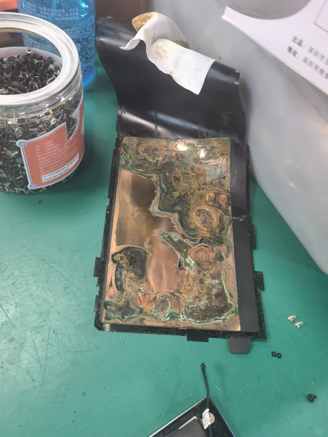 猫尿对电脑的杀伤力，我滴乖乖