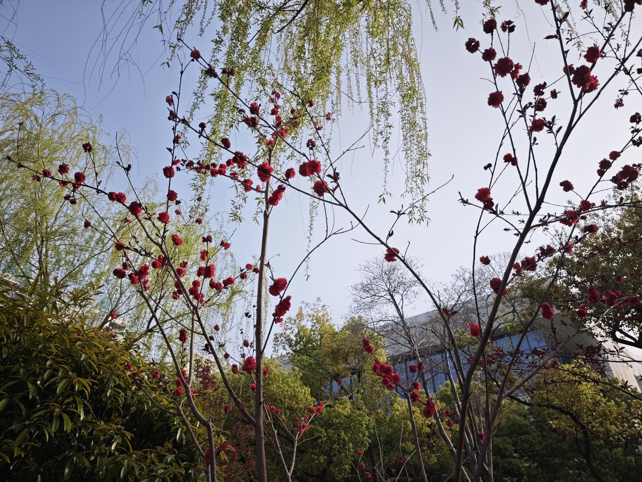 40多岁是我人生最忙的时候，除了日常工作，还有很多的会，讲课，电视台，那时，几乎