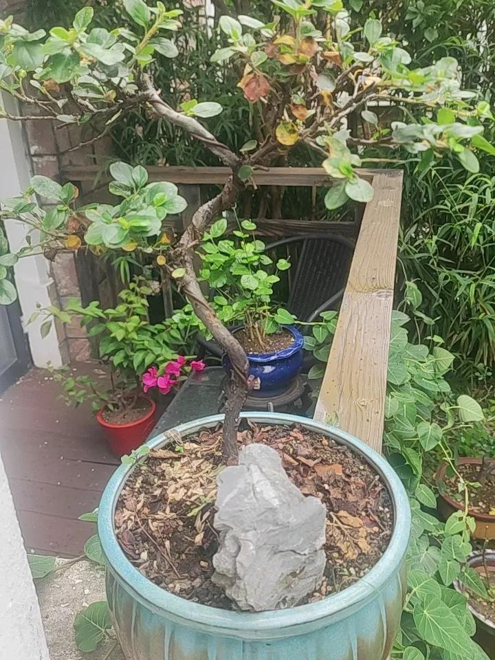 夏日生活打卡季