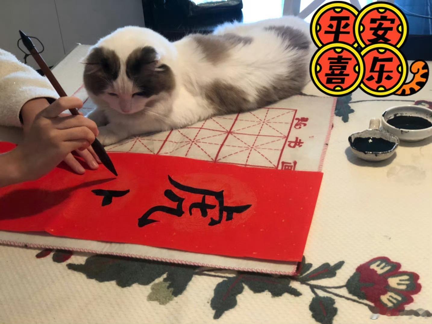 😣😣还出镜过捏 