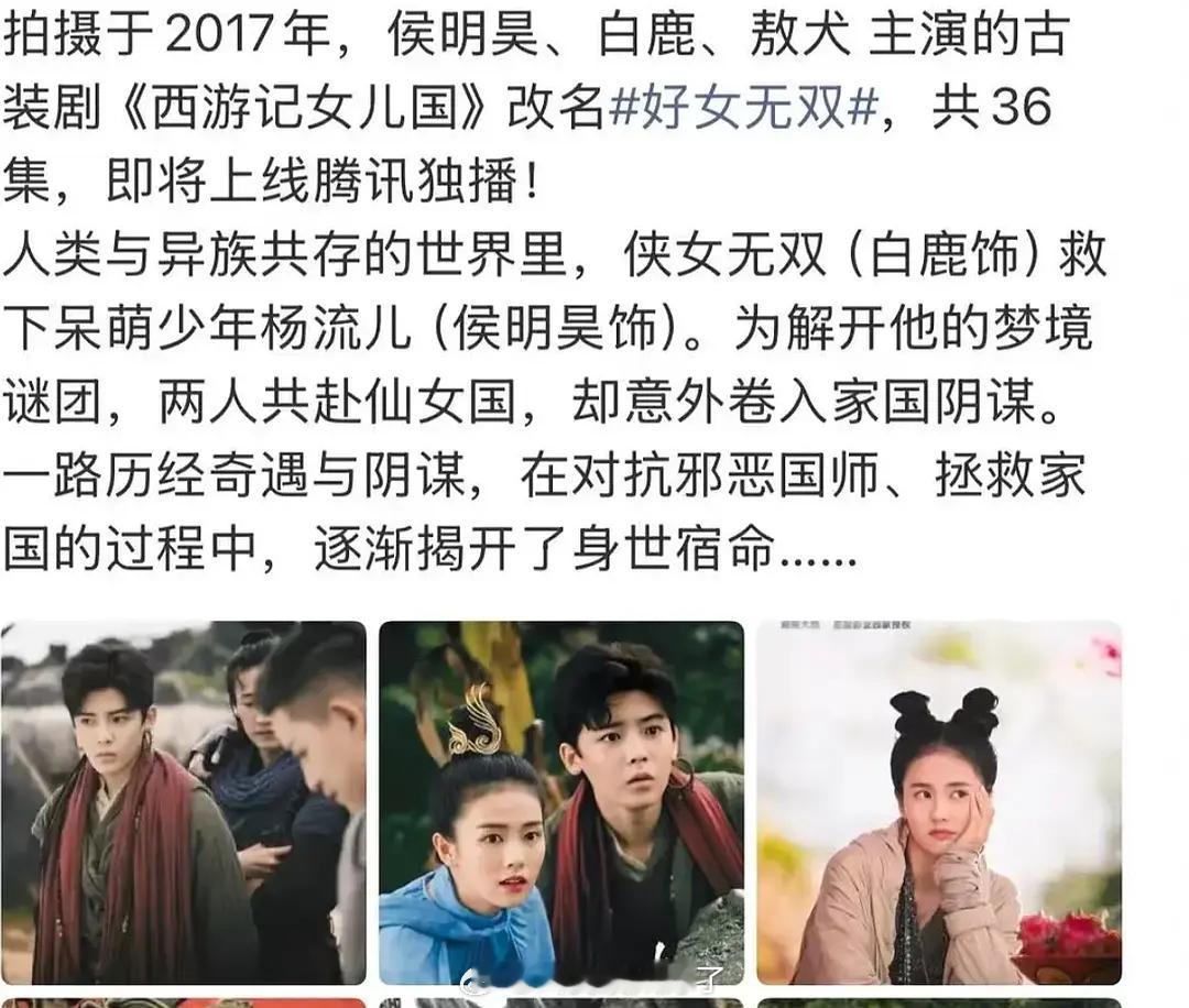 大家逃档逃到9年前的剧被架起来了结果最终是侯明昊承担了所有