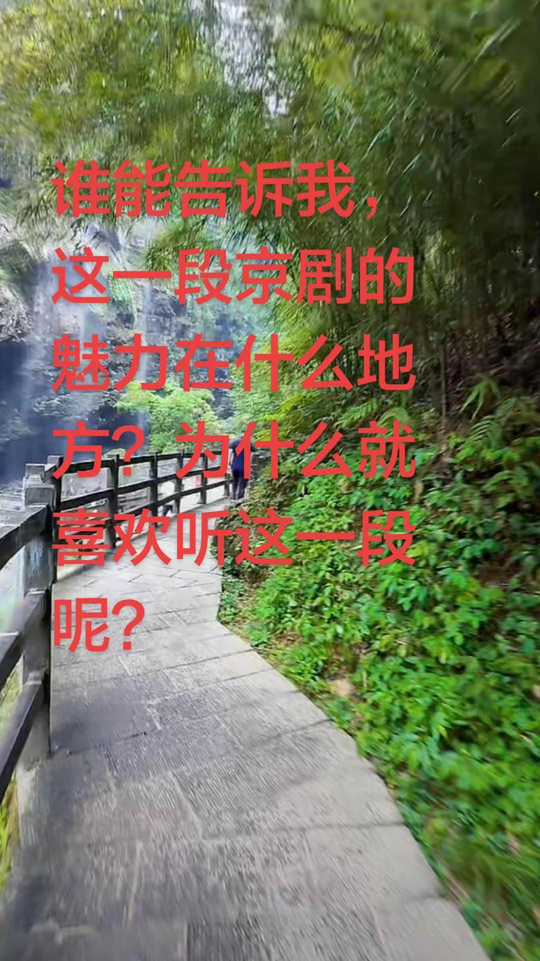 谁能告诉我这一段京剧的魅力在什么地方？
