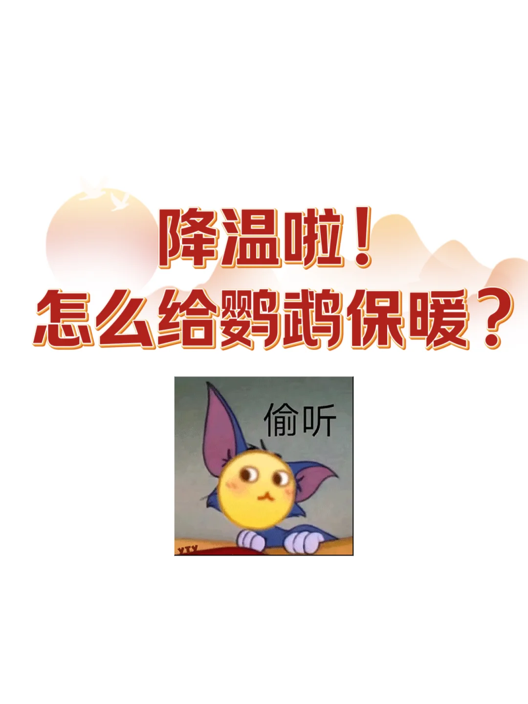 带图交换大家的鹦鹉保温方式～